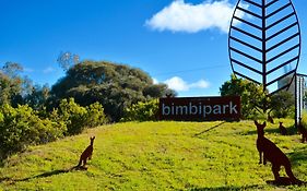 Bimbi Park - Camping Under Koalas